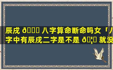 辰戌 🐝 八字算命断命吗女「八字中有辰戌二字是不是 🦊 就没有贵人了」